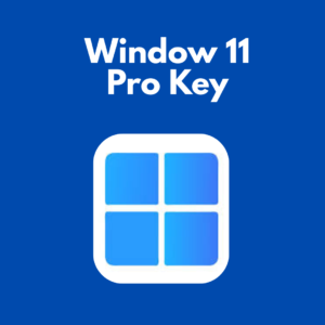 Windows 11 Professional – Digital License