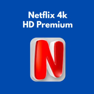 Netflix Premium 4K Economy Plan – Single Screen